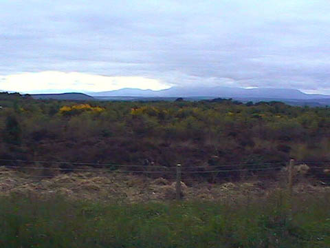 culloden9