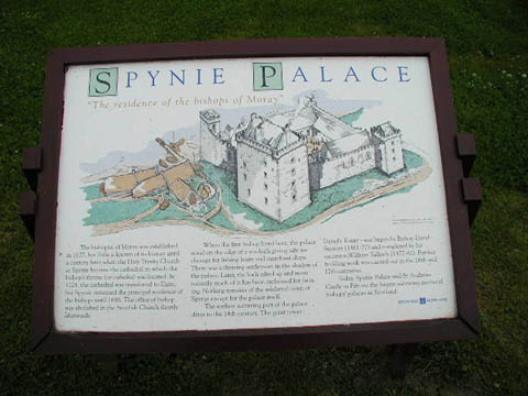 spynie11